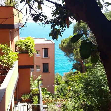 Casa Delle Mimose Lejlighed Varazze Eksteriør billede