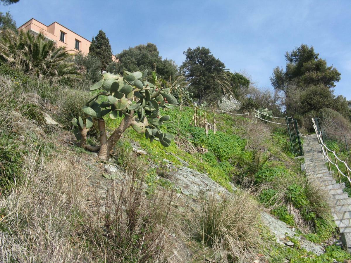 Casa Delle Mimose Lejlighed Varazze Eksteriør billede